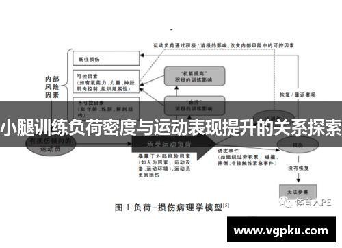 小腿训练负荷密度与运动表现提升的关系探索